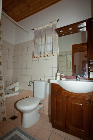 accommodation apolafsis studios shower